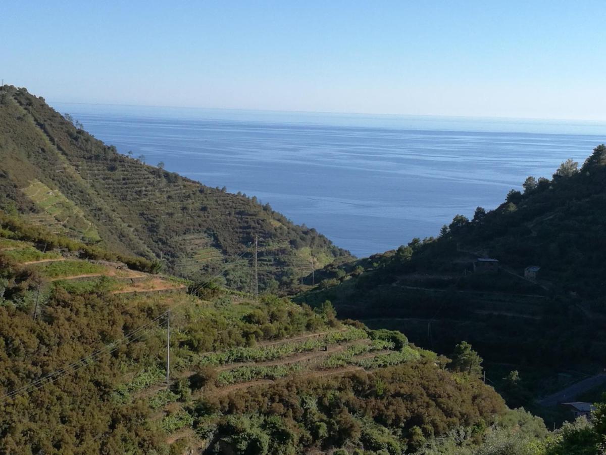 ☆ Terrace & Relax ☆ Casa Franceschin_ Homy 5 Terre Βίλα Ριοματζόρε Εξωτερικό φωτογραφία