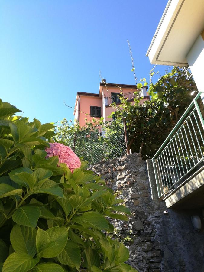 ☆ Terrace & Relax ☆ Casa Franceschin_ Homy 5 Terre Βίλα Ριοματζόρε Εξωτερικό φωτογραφία