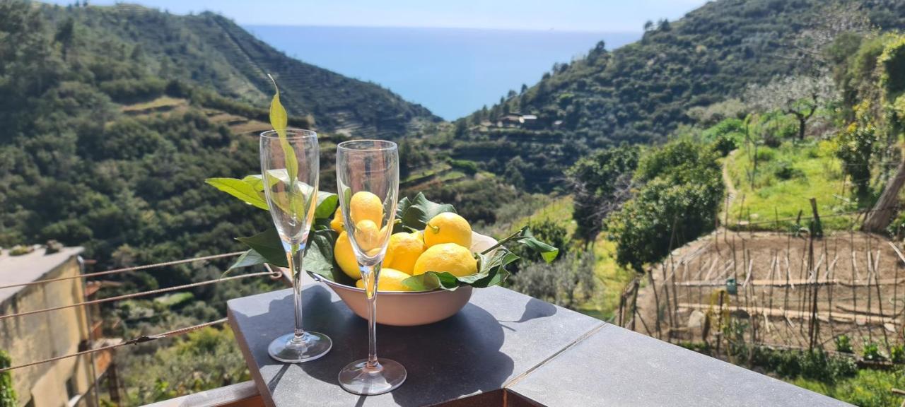 ☆ Terrace & Relax ☆ Casa Franceschin_ Homy 5 Terre Βίλα Ριοματζόρε Εξωτερικό φωτογραφία